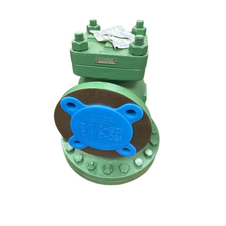 Emerson E-C1J1A1B1AH1 2-1/2" x 11" 250 PSI ED Cast Iron Pressure Regulator -1