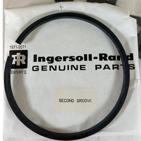 Ingersoll Rand 32213613 OEM Ring and Gasket Kit for the 15V Vacuum Pump -3