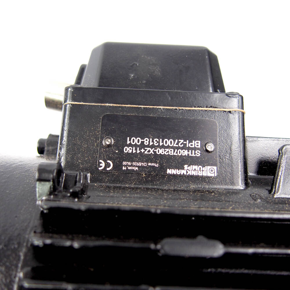 Brinkmann Pumps STH607B290 Immersion Pump -9