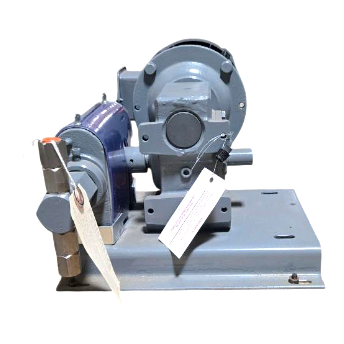 Cleveland ICHS 21 D 100 motor-driven piston pump