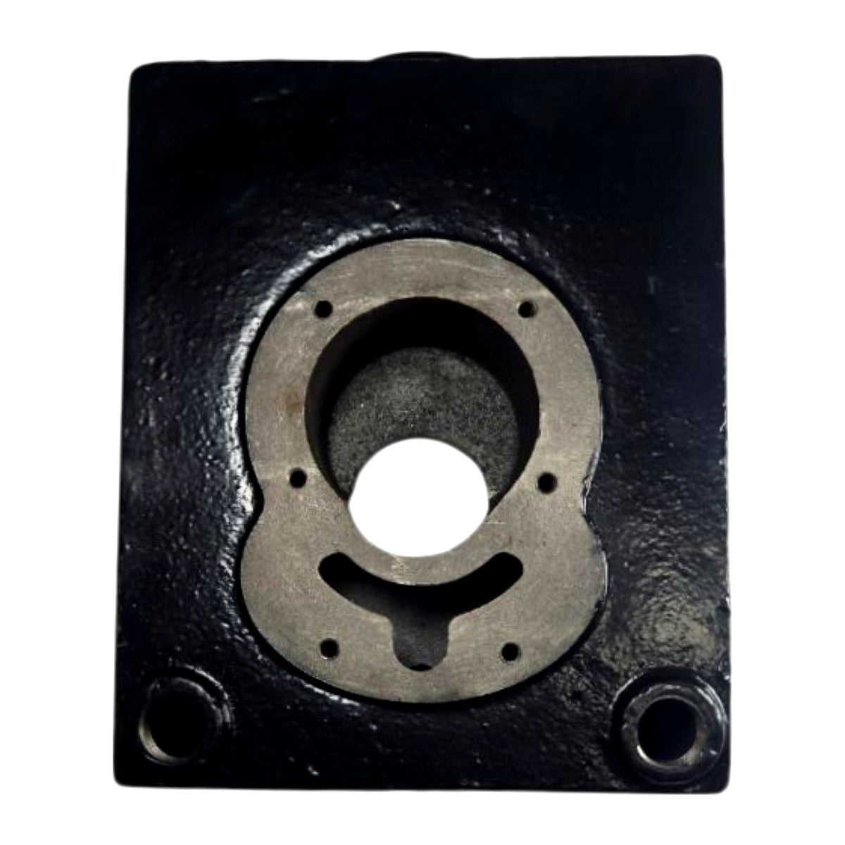 DAYTON PPTPXX605G gear pump casing