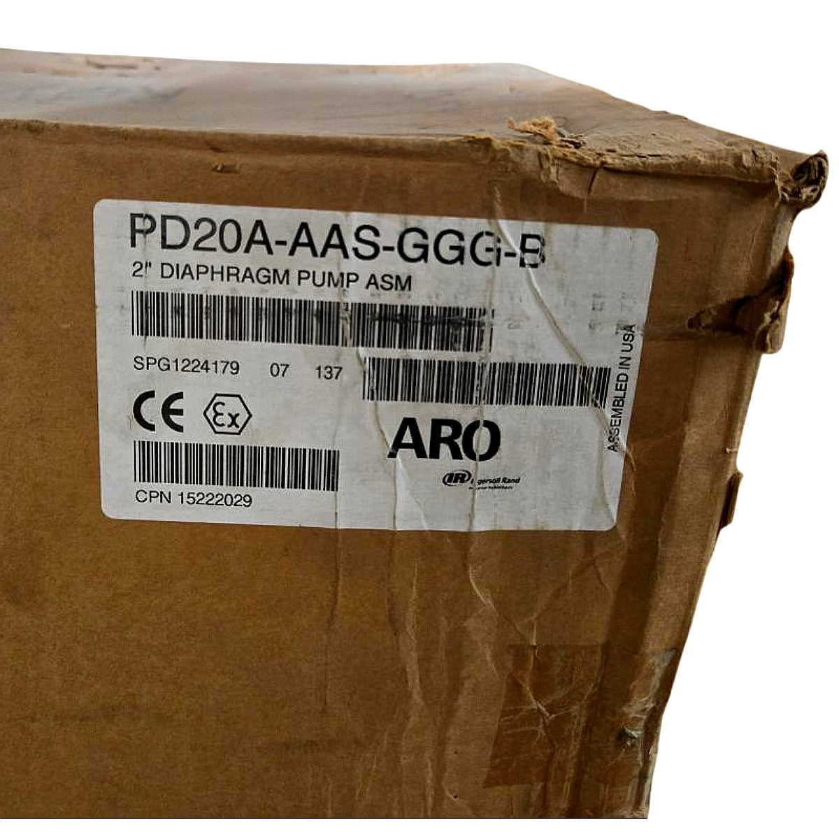 Ingersoll Rand PD20A-AAS-GGG-B Air-Operated Double Diaphragm Pump