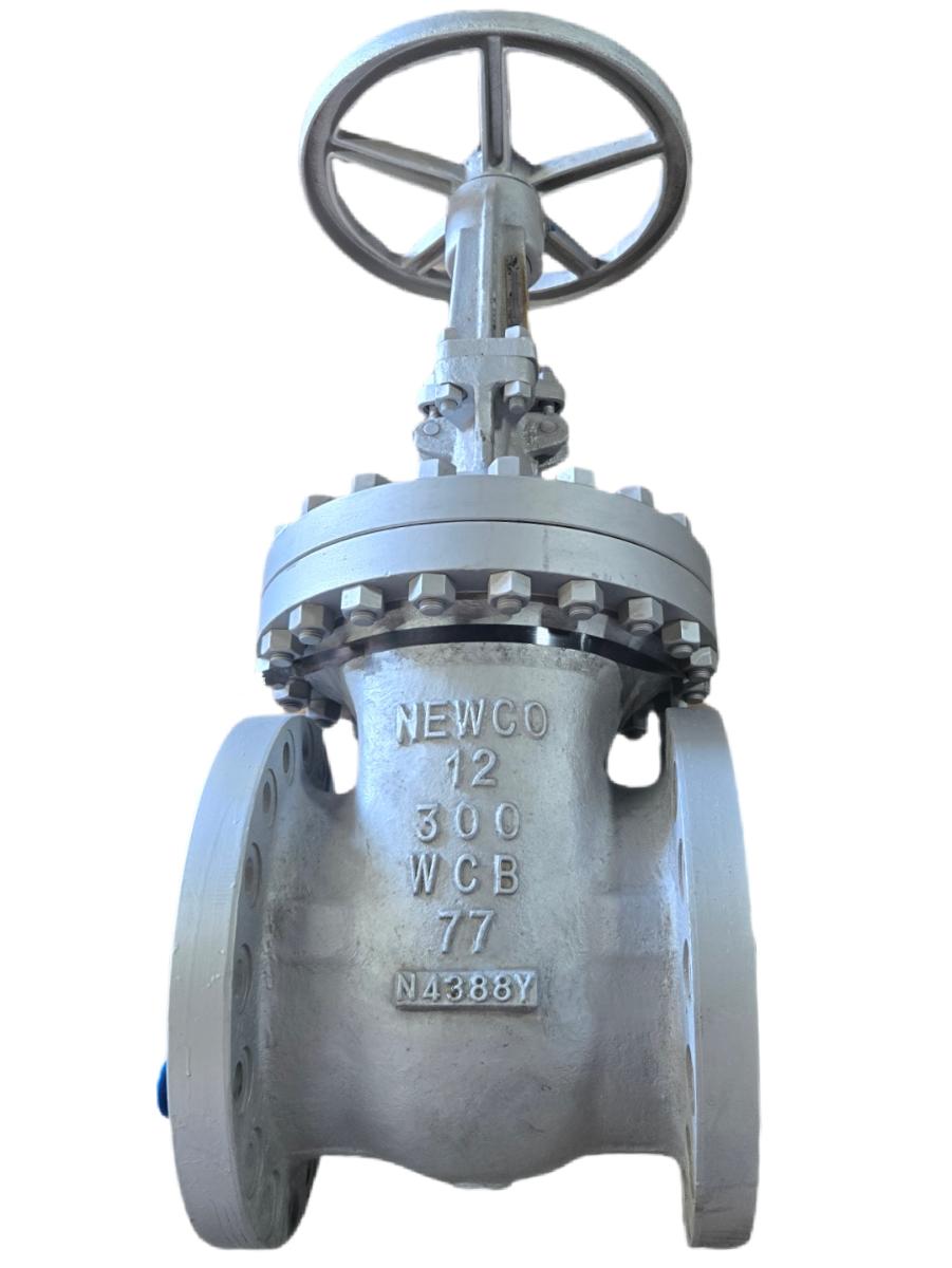 Newco 12-300 WCB77 flanged gate valve