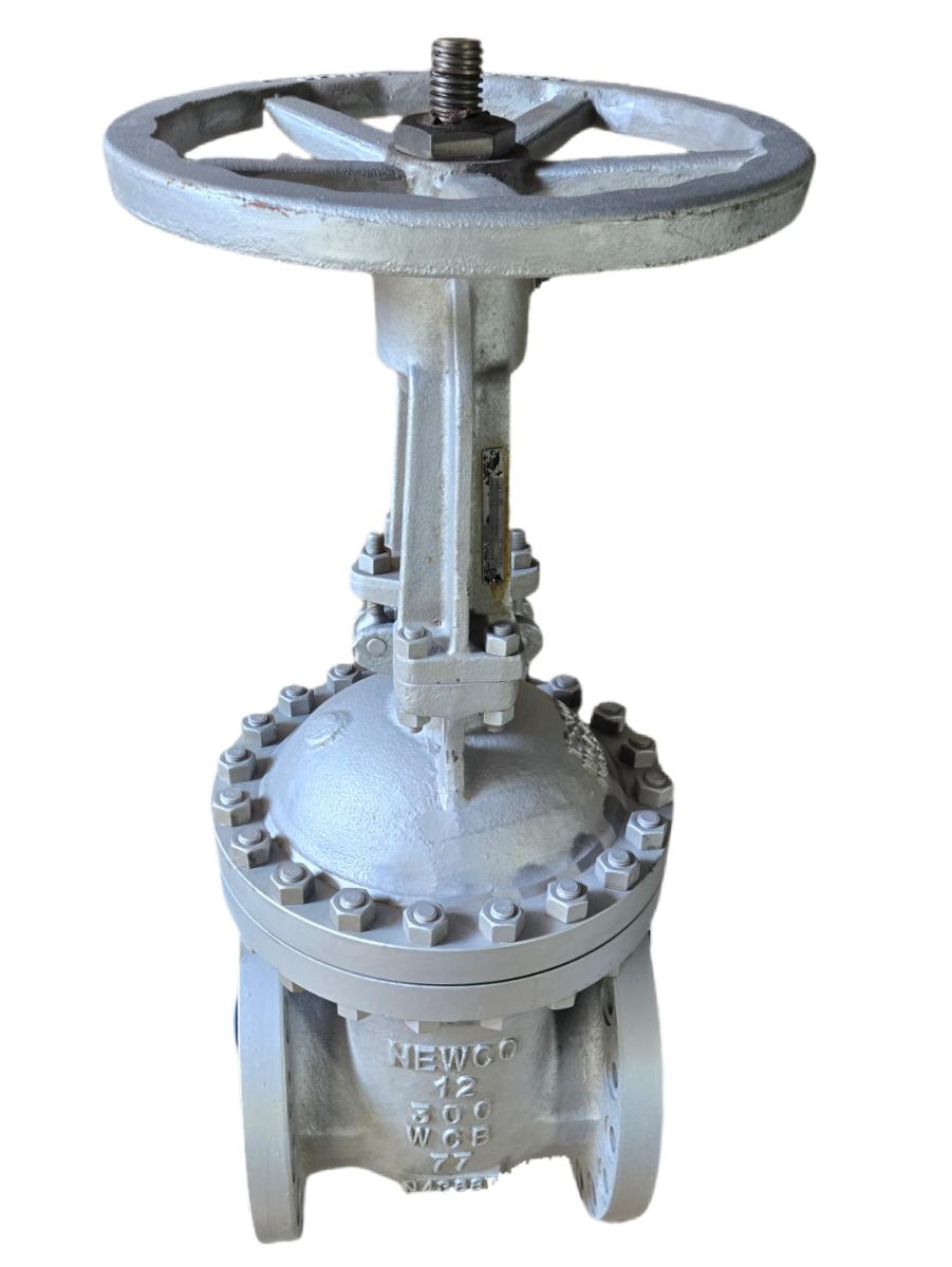 Newco 12-300 WCB77 flanged gate valve