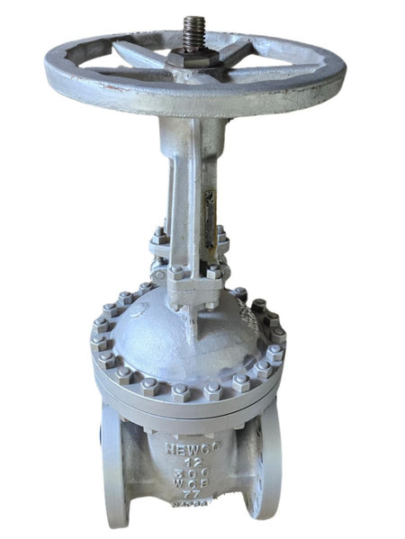 Newco 12-300 WCB77 flanged gate valve