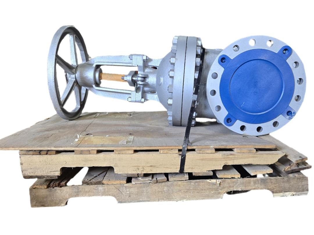 Newco 12-300 WCB77 flanged gate valve