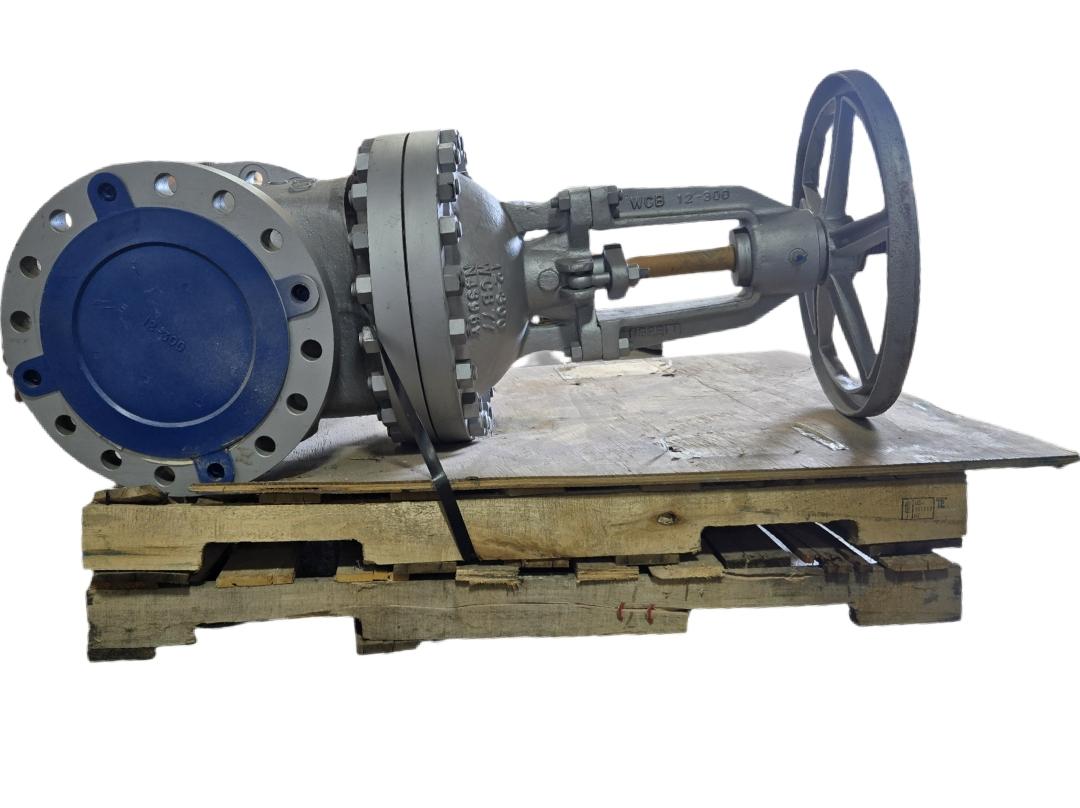 Newco 12-300 WCB77 flanged gate valve