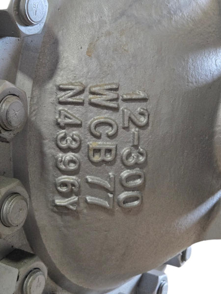 Newco 12-300 WCB77 flanged gate valve
