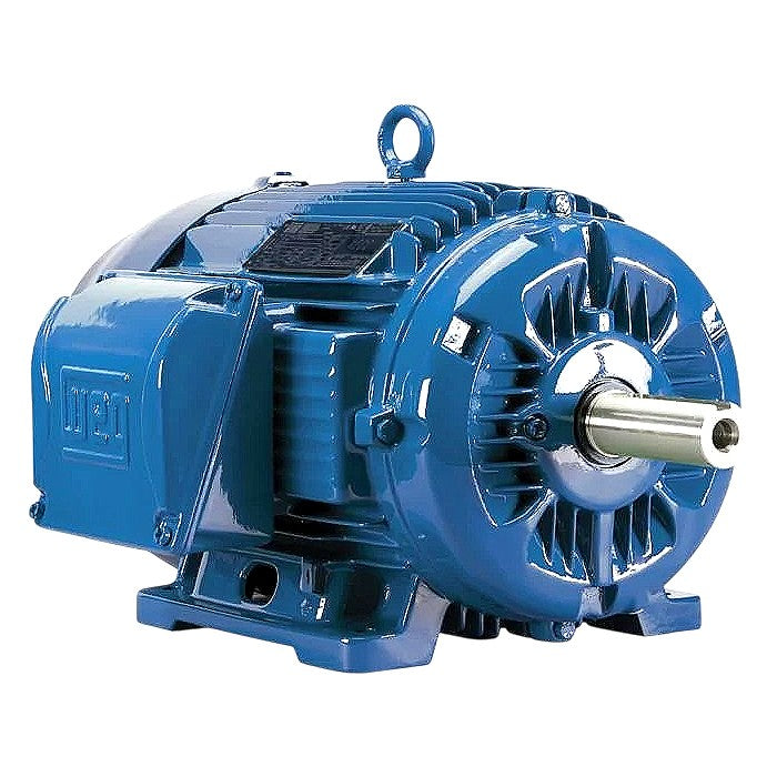 WEG 00718ET3E213T-W22 three-phase AC motor