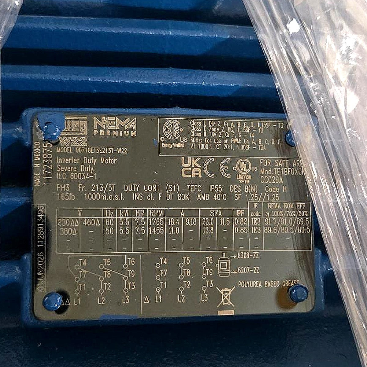 WEG 00718ET3E213T-W22 three-phase AC motor