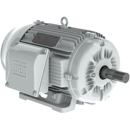 WEG 06012ES3EOW405T-W22 AC induction electric motor