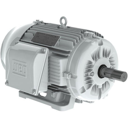 WEG 06012ES3EOW405T-W22 AC induction electric motor