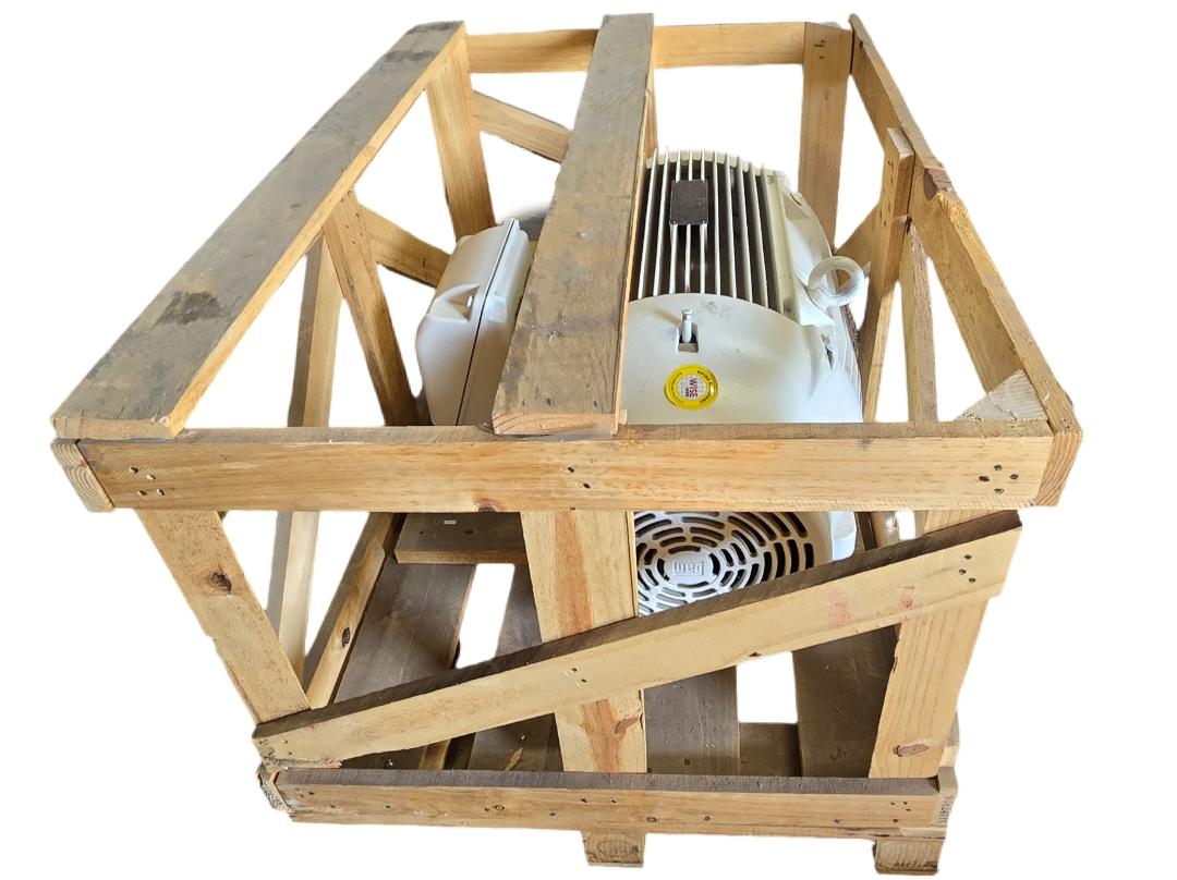 WEG 06012ES3EOW405T-W22 AC induction electric motor