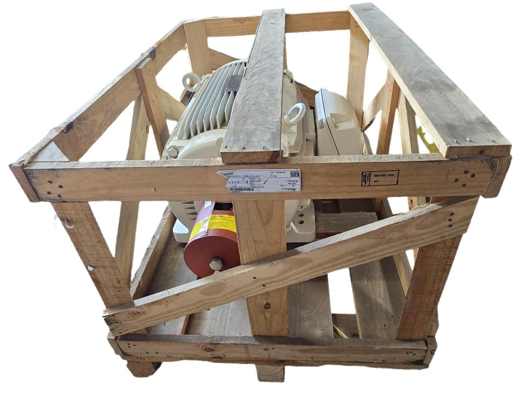 WEG 06012ES3EOW405T-W22 AC induction electric motor