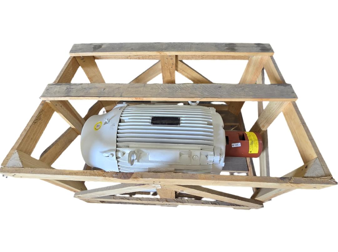 WEG 06012ES3EOW405T-W22 AC induction electric motor