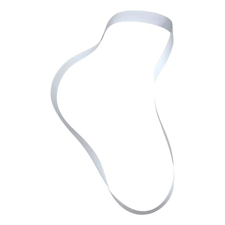 Zebra Skimmers BP-12 oil skimmer belt