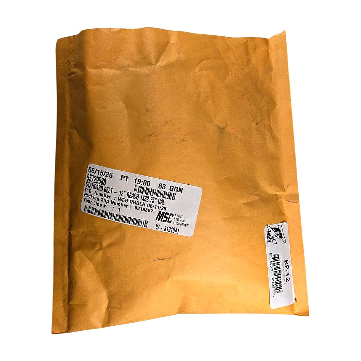 Zebra Skimmers BP-12 oil skimmer belt