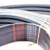 Jason RB173 Belt