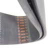 Jason 795L16 79-1/2" Replacement Poly V Belt - Image 3