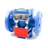 L.J. Star 1504 CNNN1N Flow Indicator