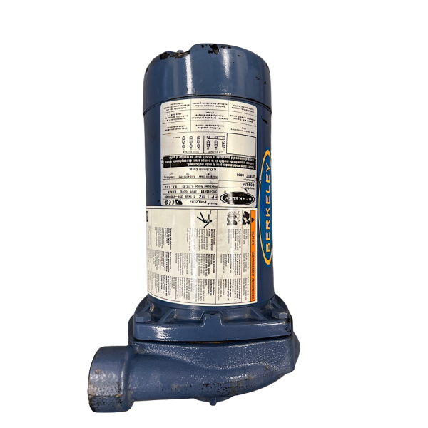 Berkeley S39536 AC Straight Pump