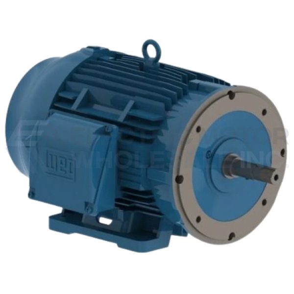 WEG 03018ET3E286JM-W22 Pump Motor