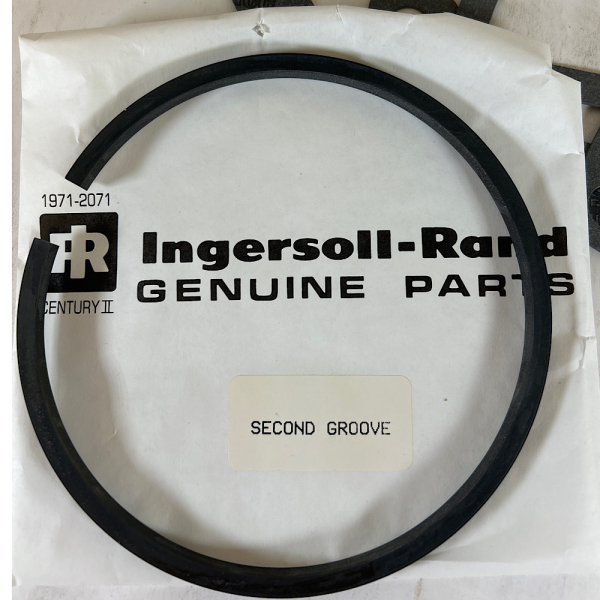 Ingersoll Rand 32213613 OEM Ring and Gasket Kit for the 15V Vacuum Pump - Image 4